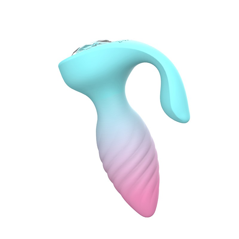 Rainbow Butt Plug Y009B